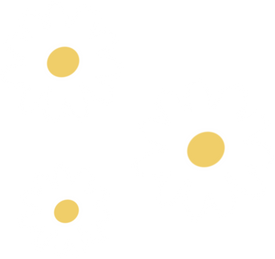 white and yellow daisies  icon